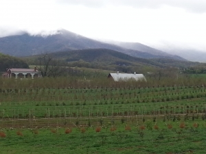 20140429_171557.jpg