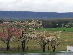 20140429_170411.jpg