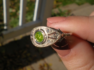 dscn1226.jpg