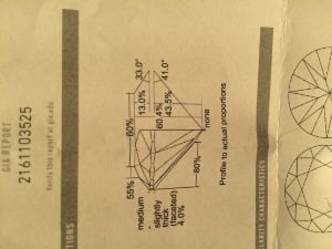 _23568.jpg