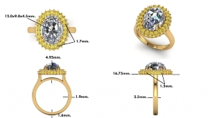 e-ring_cad.jpg