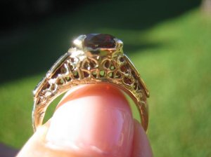 IMG_2805.JPG
