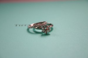 IMG_5068tiff.jpg