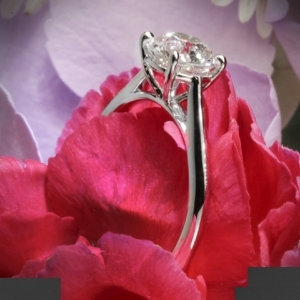 vatche-venus-solitaire-engagement-ring-in18k-white-gold-from-whiteflash_39464_g_2.jpg