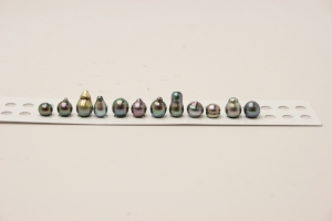 image_2588.jpg