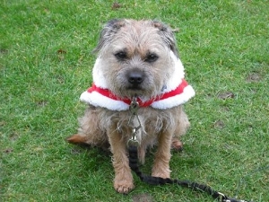grumpysanta.jpg