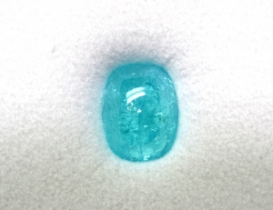 leonparaiba.jpg