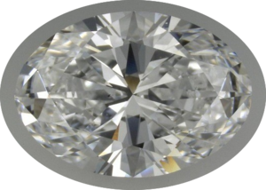 detail_primary_74364424_d-99y7yj.png