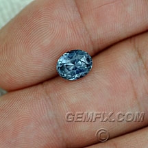 sapphire_montana_328_a.jpg