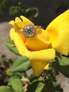 image_2302.jpg