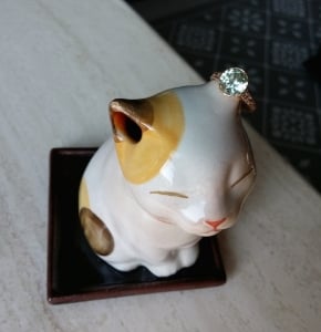 tourmcat.jpg
