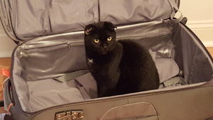 20151110_075946.jpg
