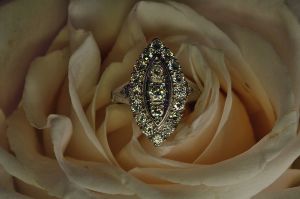 Flower%204%20Ring.jpg