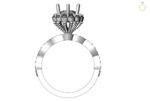 ring02122015-3.jpg