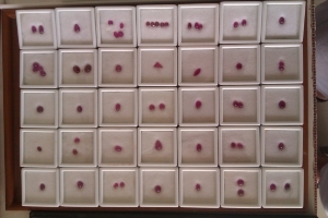 imag0450.jpg