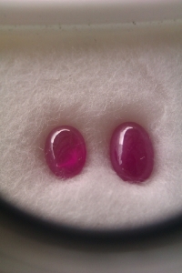 imag0453.jpg