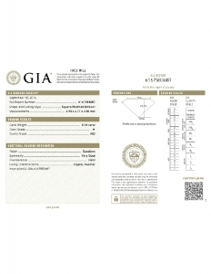 6167583687.jpg