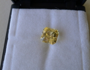 p1060221_cr.jpg