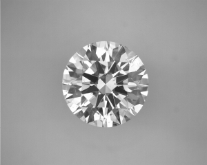 5193591920.jpg