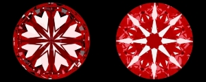6192580630ha.jpg