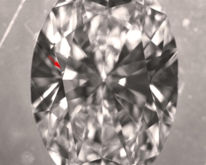 clarity2_56_5.jpg