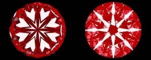2197386859ha.jpg
