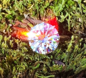 image_3334.jpg