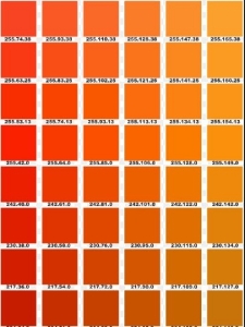 oranges.jpg