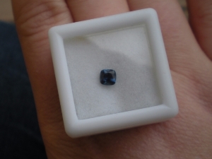 bluegem3.jpg bluegem3.jpg