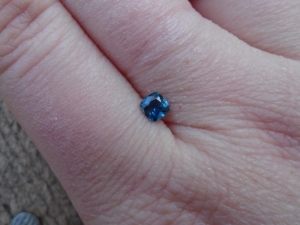 bluegem10.jpg bluegem10.jpg
