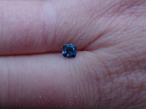 bluegem6.jpg bluegem6.jpg