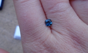 bluegem9.jpg bluegem9.jpg