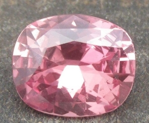 pic1_21.jpg