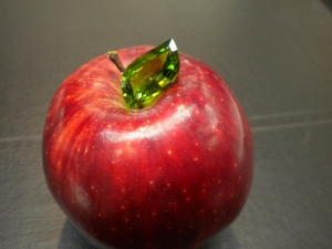 dscn1226_0.jpg