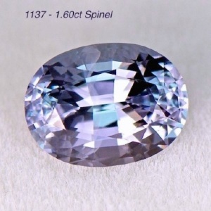 ps1137.jpg ps1137.jpg