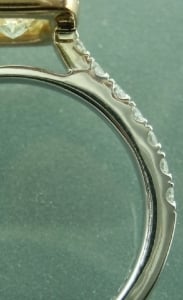 cast-shank-1.jpg