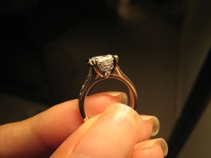 mistys%20resized%202.jpg