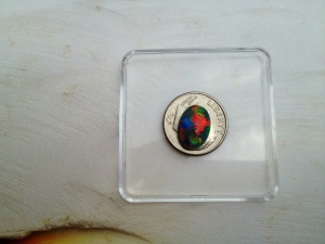 dime.jpg dime.jpg