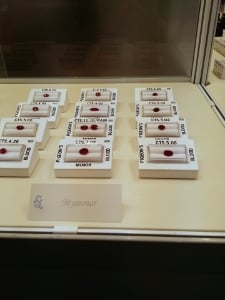 myanmarrubies.jpg myanmarrubies.jpg