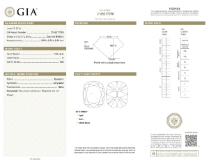 1-02_gia_copy.jpg