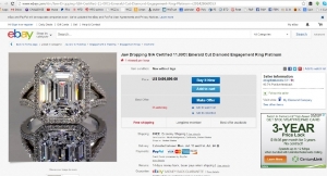 ebay_thief.jpg ebay_thief.jpg