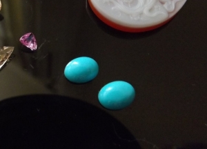 turquoise_pair.jpg turquoise_pair.jpg