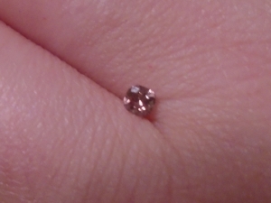 rosediamon2.jpg rosediamon2.jpg