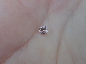 rosediamond5.jpg rosediamond5.jpg