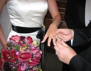 IMG_0194_lower.JPG