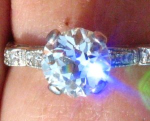 IMG_2330bluefire.jpg