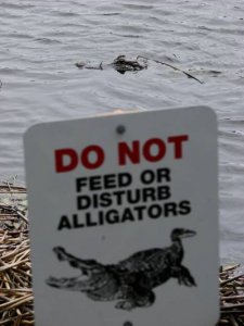 warning.jpg