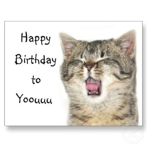 happy_birthday_kitten_postcard-p239197530300152481qibm_400.jpg