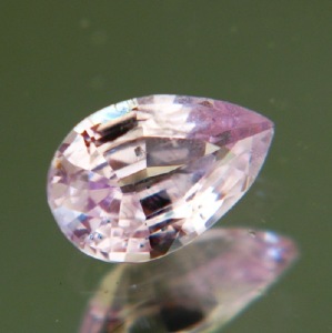 pps106-b.jpg