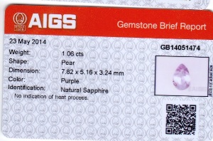 pps106-certDD.jpg